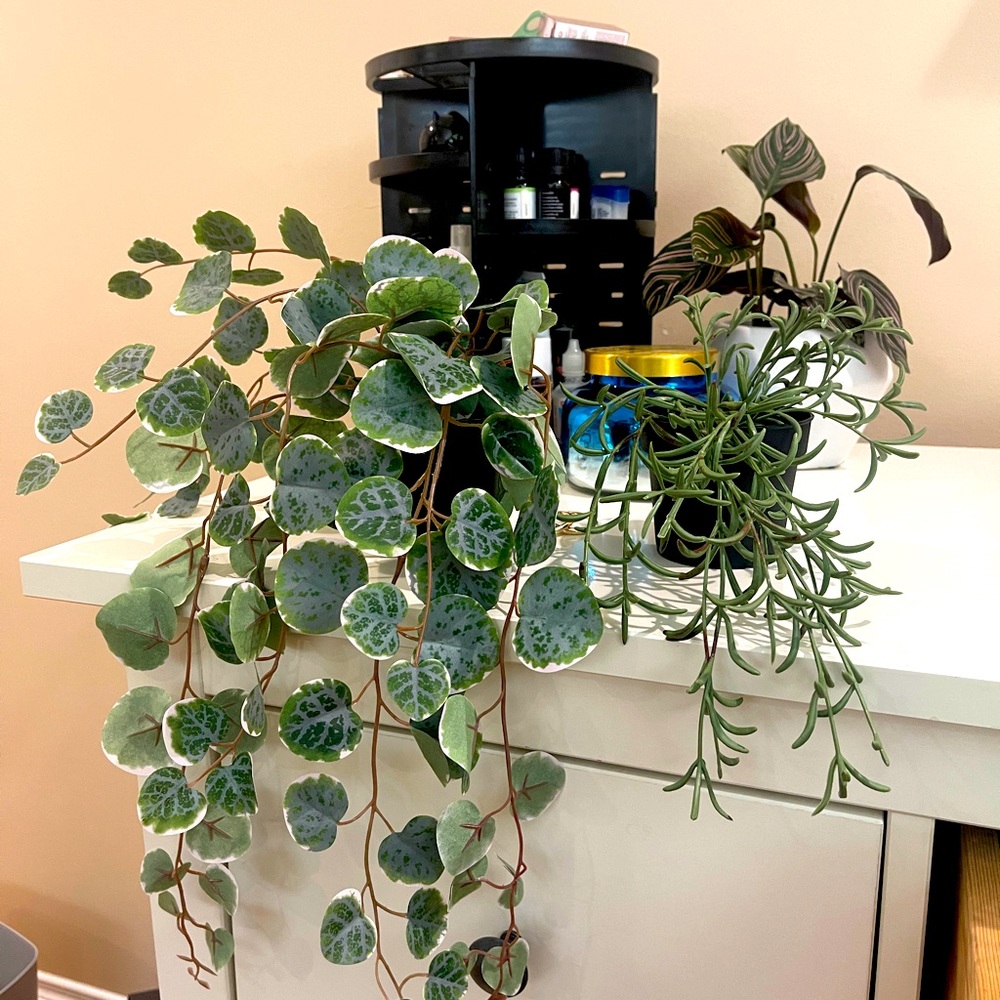 Brand new unused fake plants.